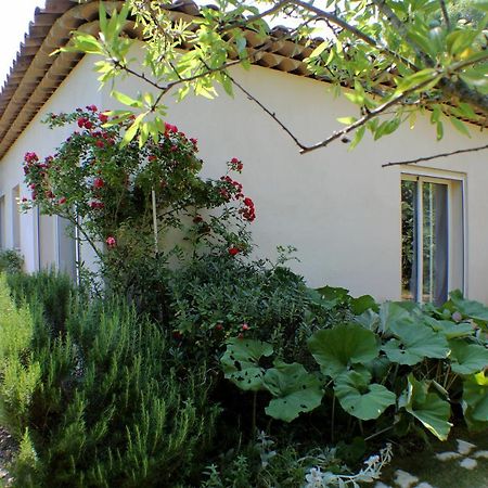 Le 275 Villa La Colle-sur-Loup Ngoại thất bức ảnh